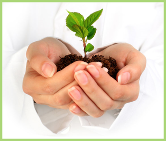 Picture of a woman's hands cradling a young seedling in earth.